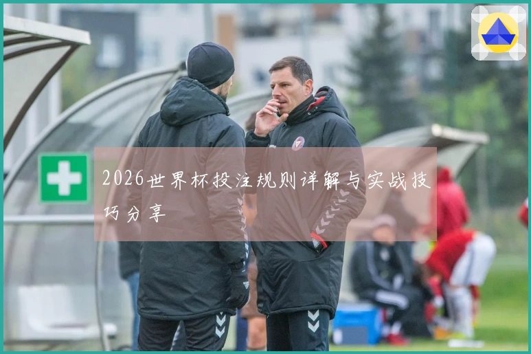 2026世界杯投注规则详解与实战技巧分享