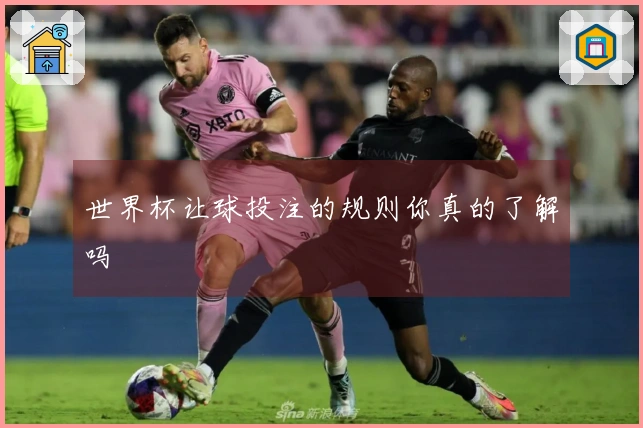 世界杯让球投注的规则你真的了解吗