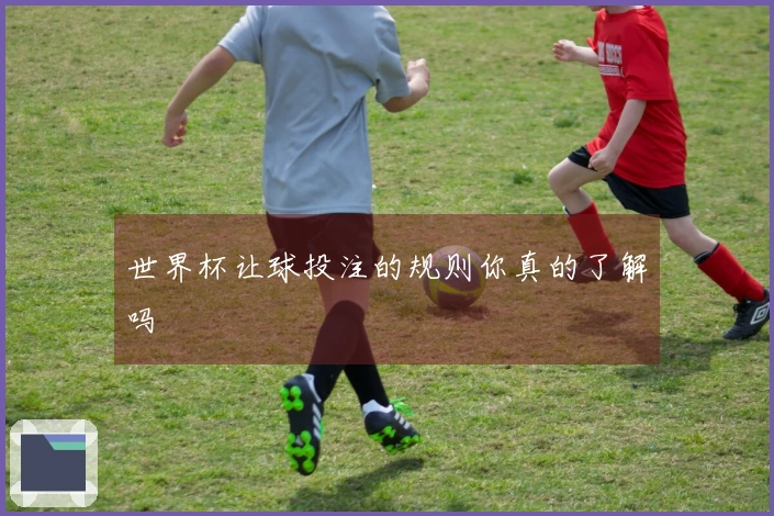 世界杯让球投注的规则你真的了解吗